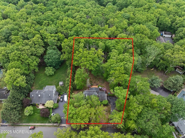 19 Kenyon Dr, Plumsted, NJ 08533 - aerial overview of property's location featuring property parcel outlined and a heavily wooded area