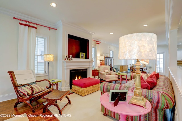 35 Embury Ave, Ocean Grove, NJ 07756 - living area with ornamental molding, a warm lit fireplace, wood finished floors, recessed lighting, and baseboards