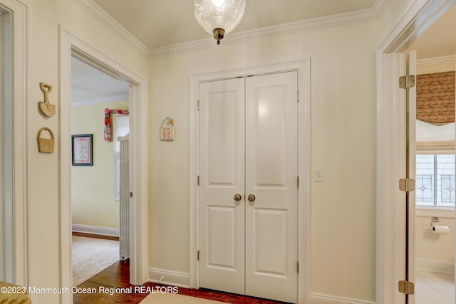 35 Embury Ave, Ocean Grove, NJ 07756 - hall featuring baseboards, ornamental molding, and dark wood-style flooring