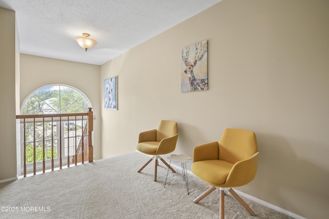 23 Woodpecker Way, Marlboro, NJ 07746 - sitting room with carpet and a textured ceiling