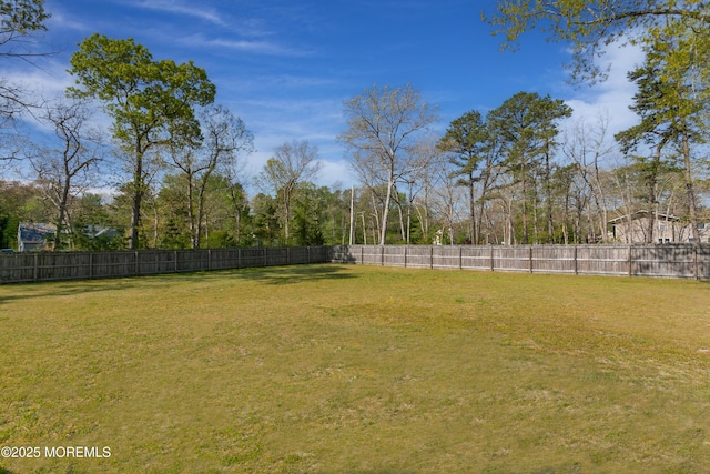 328 E Pleasant Grove Rd, Jackson, NJ 08527 - view of yard