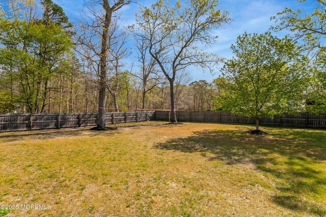 328 E Pleasant Grove Rd, Jackson, NJ 08527 - view of yard