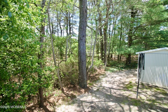 41 Eagle Dr, Whiting, NJ 08759 - view of yard featuring an outbuilding and a shed