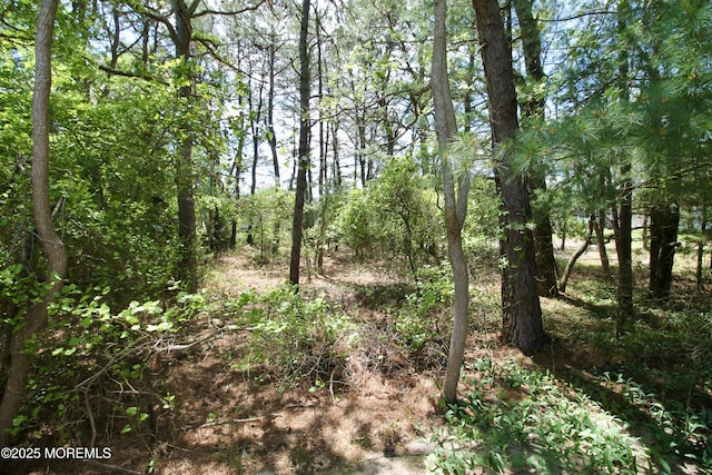41 Eagle Dr, Whiting, NJ 08759 - view of woods