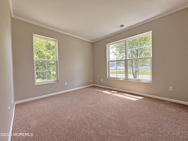 143 2nd Ave, Toms River, NJ 08757 - carpeted empty room with crown molding, healthy amount of natural light, and baseboards