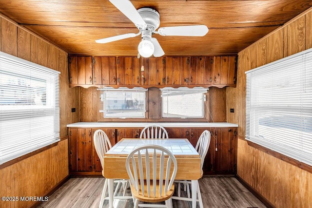 220 W Sylvania Ave Unit 16, Neptune City, NJ 07753 - dining space with healthy amount of natural light, wood walls, wood finished floors, ceiling fan, and wood ceiling