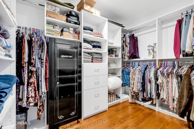 3 Sunset Dr, Asbury Park, NJ 07712 - spacious closet featuring wood finished floors