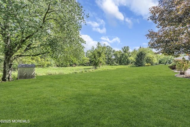 8 Eileen Ln, Marlboro, NJ 07746 - view of green lawn