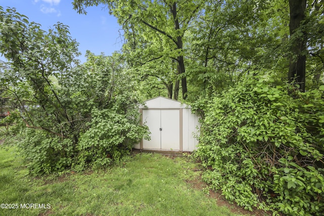 624 Lloyd Rd, Aberdeen, NJ 07747 - view of yard