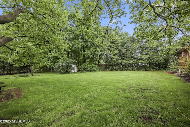 624 Lloyd Rd, Aberdeen, NJ 07747 - view of green lawn