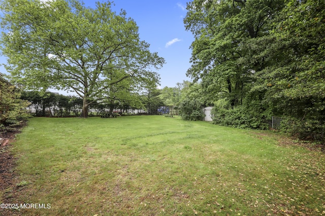 624 Lloyd Rd, Aberdeen, NJ 07747 - view of yard