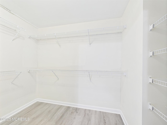183 Liddle Ave, Edison, NJ 08837 - walk in closet with wood finished floors