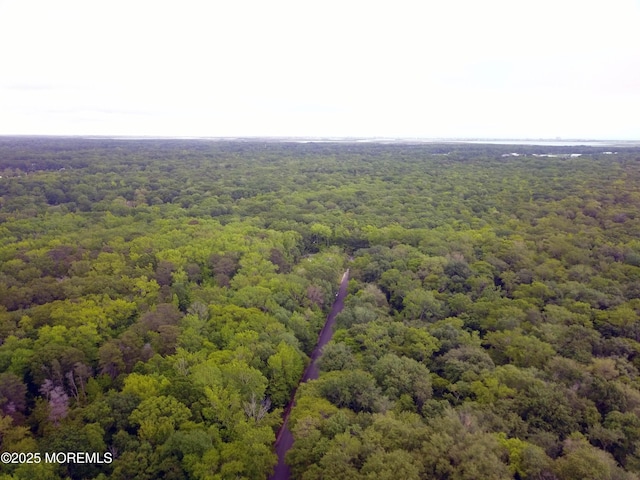4 Capewoods Rd, North Cape May, NJ 08204 - drone / aerial view of a heavily wooded area