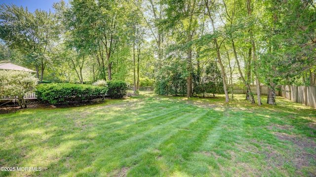 9 Toby Ter, Monroe, NJ 08831 - view of yard
