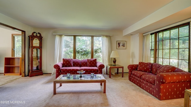 9 Toby Ter, Monroe, NJ 08831 - view of carpeted living area
