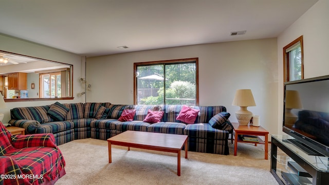 9 Toby Ter, Monroe, NJ 08831 - carpeted living room featuring plenty of natural light