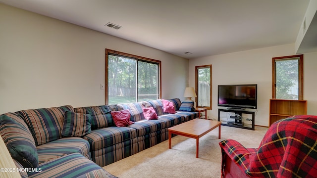 9 Toby Ter, Monroe, NJ 08831 - view of carpeted living room
