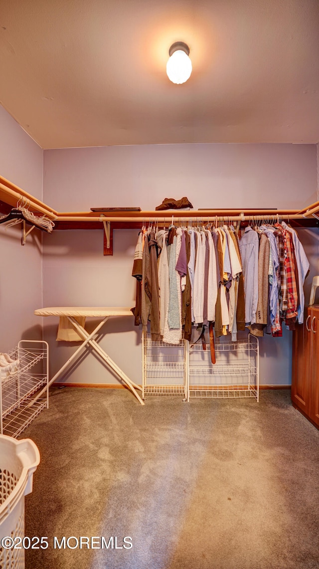 9 Toby Ter, Monroe, NJ 08831 - spacious closet with carpet flooring