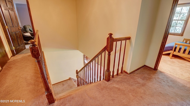 9 Toby Ter, Monroe, NJ 08831 - stairs featuring carpet flooring and baseboards