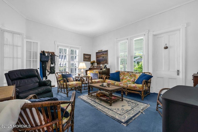 208 Ludlow Ave, Spring Lake, NJ 07762 - living area with carpet flooring and crown molding