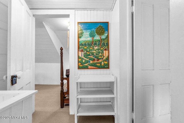 208 Ludlow Ave, Spring Lake, NJ 07762 - detailed view of carpet floors and wooden walls