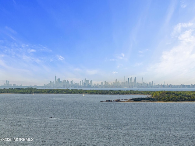 7 Beach Blvd, Highlands, NJ 07732 - water view featuring skyline