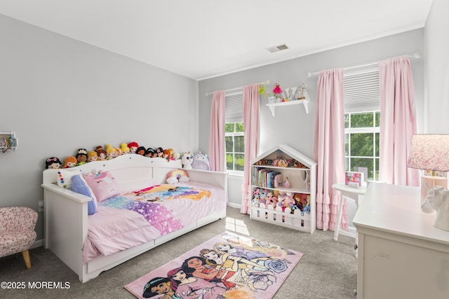 16 Wildflower Ct, Manalapan, NJ 07726 - bedroom with carpet floors and multiple windows