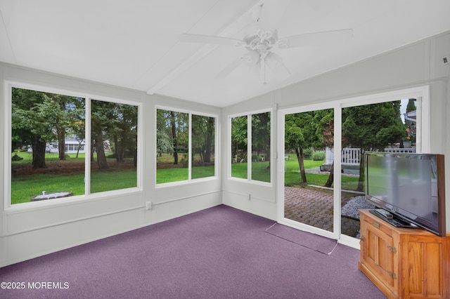 11 Sheepshead Dr, Toms River, NJ 08757