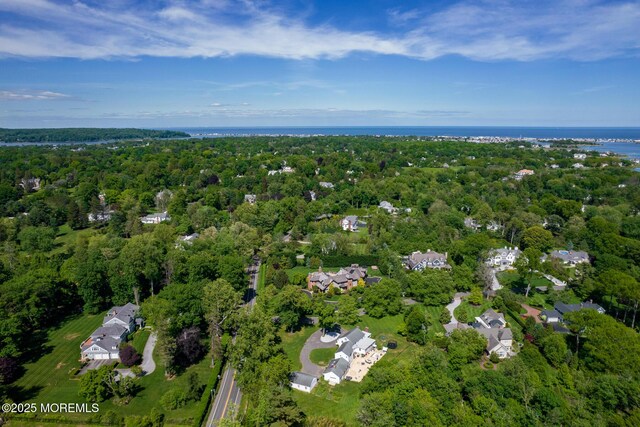 135 Rumson Rd, Rumson, NJ 07760 - bird's eye view of a forest