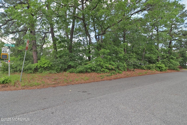 1151 Beechmont St, Toms River, NJ 08757 - photo 7