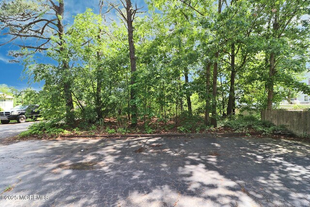 1151 Beechmont St, Toms River, NJ 08757 - photo 27