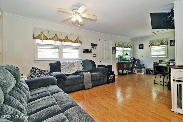 1151 Beechmont St, Toms River, NJ 08757 - photo 9