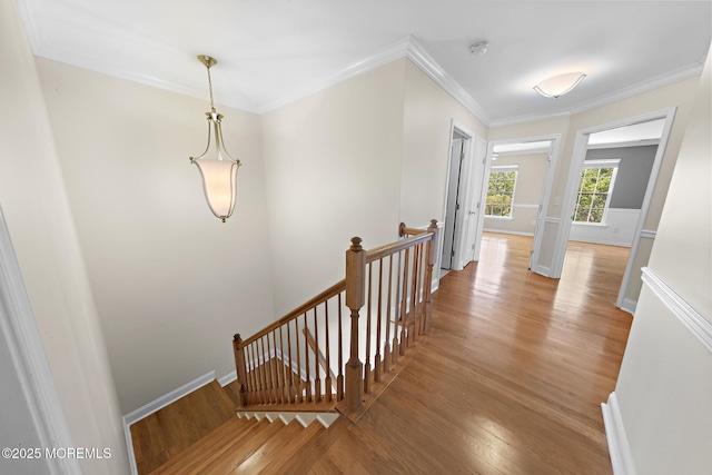 14 Osprey Ln Unit 72, Bayville, NJ 08721 - stairway featuring wood finished floors, crown molding, and baseboards