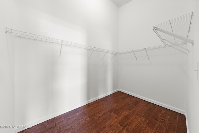 14 Osprey Ln Unit 72, Bayville, NJ 08721 - walk in closet featuring dark wood-style floors