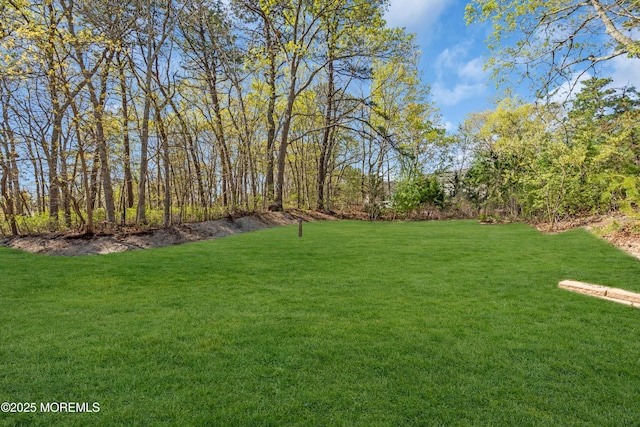19 Hillside Ave, Barnegat, NJ 08005 - view of green lawn