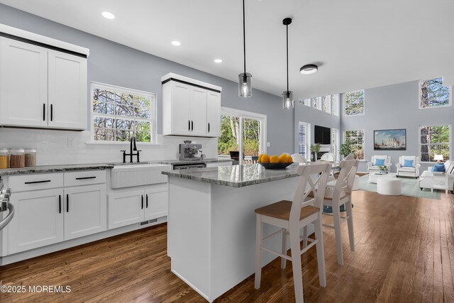 19 Hillside Ave, Barnegat, NJ 08005 - kitchen with open floor plan, light stone counters, healthy amount of natural light, dark wood-type flooring, and recessed lighting