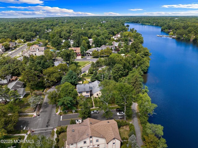 107 S Lake Dr, Lakewood, NJ 08701 - aerial view of residential area featuring a large body of water and a forest