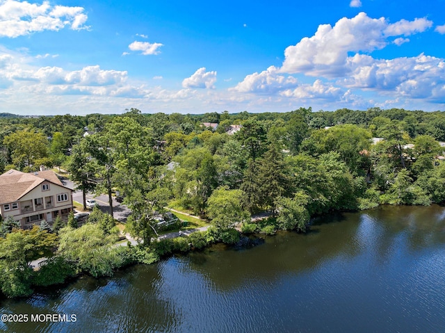 107 S Lake Dr, Lakewood, NJ 08701 - view from above of property featuring a heavily wooded area and a nearby body of water