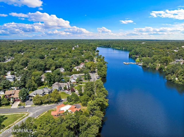 107 S Lake Dr, Lakewood, NJ 08701 - aerial view of a forest and a large body of water