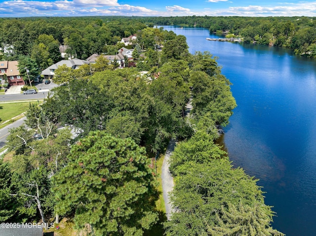 107 S Lake Dr, Lakewood, NJ 08701 - view of property location featuring a large body of water and a heavily wooded area