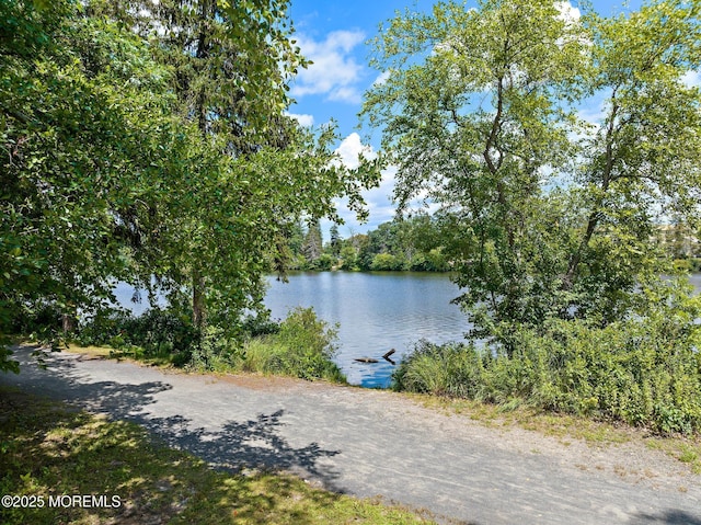107 S Lake Dr, Lakewood, NJ 08701 - water view