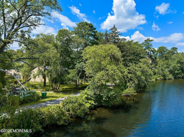 107 S Lake Dr, Lakewood, NJ 08701 - water view
