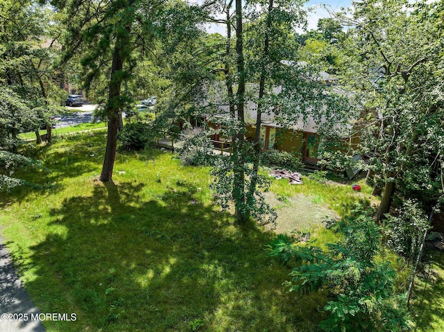 107 S Lake Dr, Lakewood, NJ 08701 - view of yard