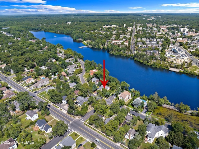 107 S Lake Dr, Lakewood, NJ 08701 - aerial view of property's location featuring a large body of water and a heavily wooded area
