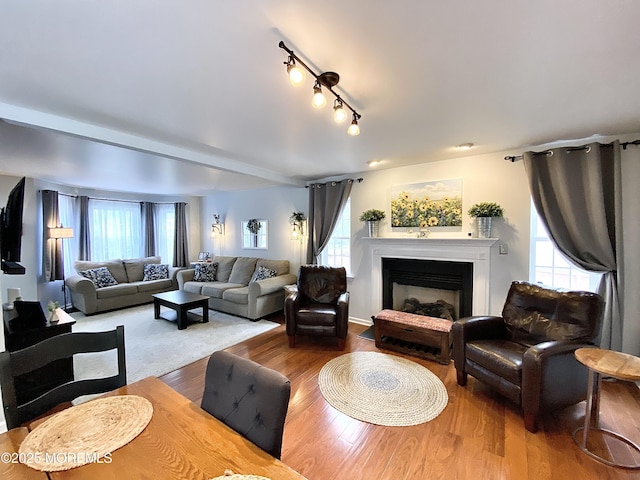 8 Augusta St, Wrightstown, NJ 08562 - living room featuring a fireplace, wood finished floors, and healthy amount of natural light