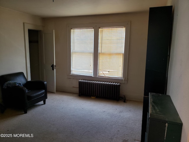 266 Albert Pl, Elberon, NJ 07740 - sitting room featuring radiator heating unit and carpet flooring