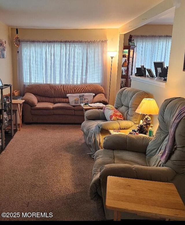 906 Egret Dr, Toms River, NJ 08753 - carpeted living room featuring healthy amount of natural light