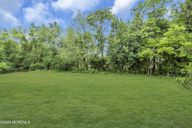 127 Creek Rd Unit 518, Brick, NJ 08724 - view of grassy yard