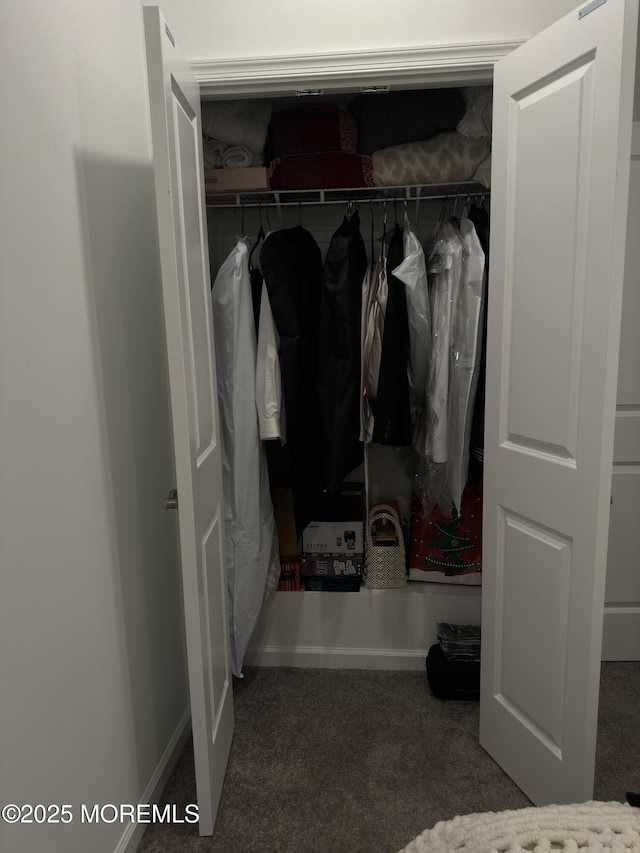 300 Prestige Rd, Brick, NJ 08723 - view of closet