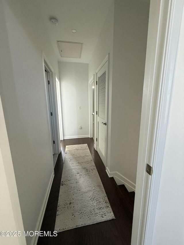 300 Prestige Rd, Brick, NJ 08723 - hallway with dark wood-style flooring and baseboards